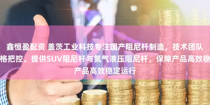 鑫恒盈配资 盖茨工业科技专注国产阻尼杆制造，技术团队全程严格把控。提供SUV阻尼杆与氮气液压阻尼杆，保障产品高效稳定运行