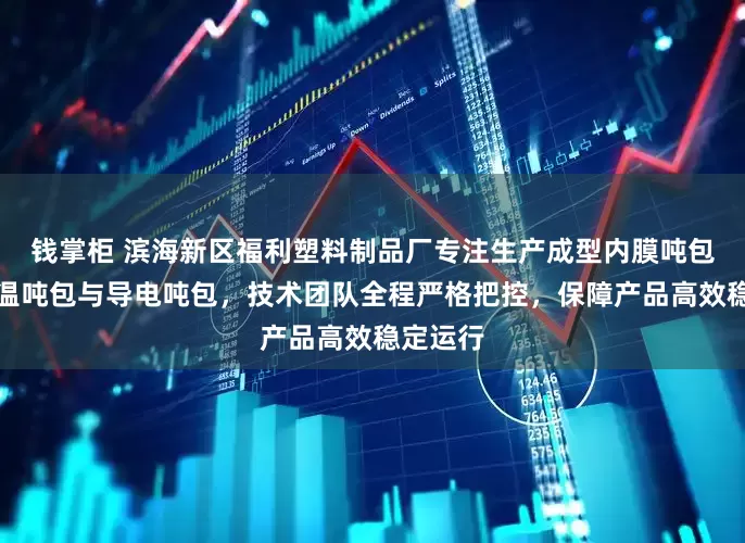 钱掌柜 滨海新区福利塑料制品厂专注生产成型内膜吨包、耐高温吨包与导电吨包，技术团队全程严格把控，保障产品高效稳定运行