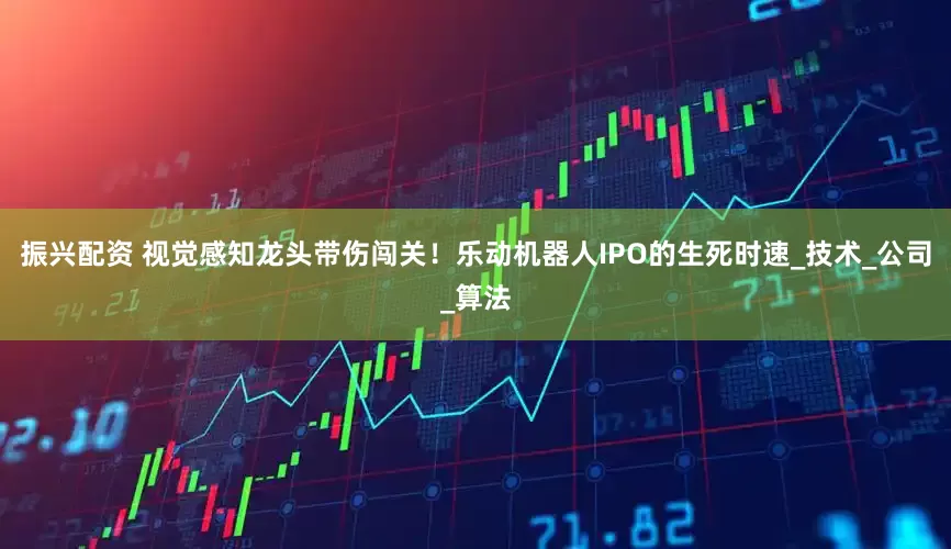 振兴配资 视觉感知龙头带伤闯关！乐动机器人IPO的生死时速_技术_公司_算法